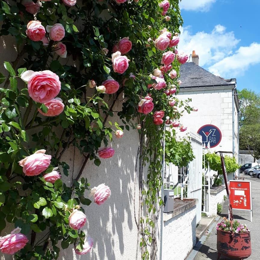 Logis Hotel Restaurant Relais De La Mothe Yzeures-sur-Creuse Zewnętrze zdjęcie